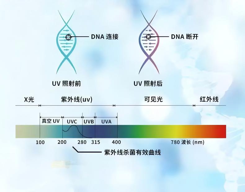 UV UV light cleaning