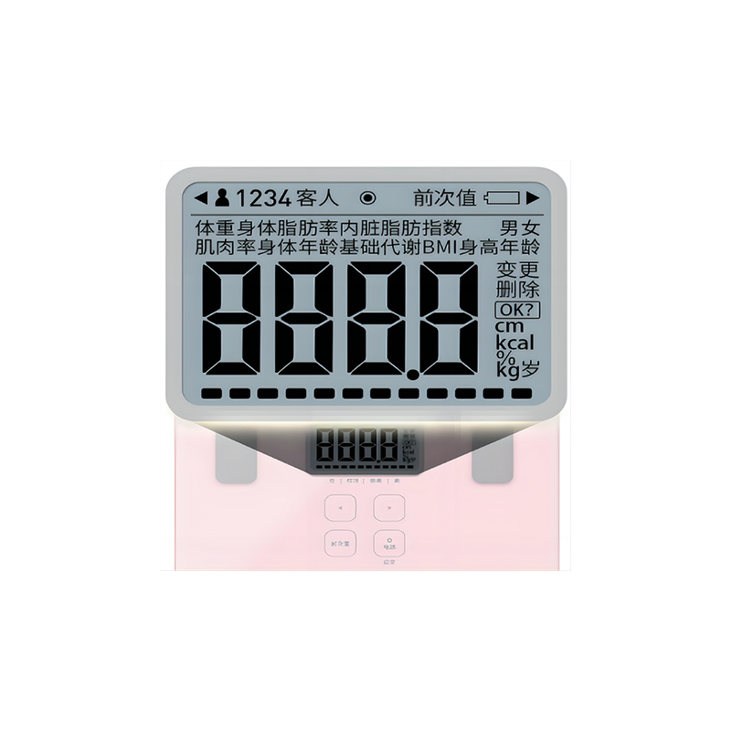 The LCD applied to the body fat meter‌：TN LCD/LCD Manufacturer/small LCD display/Segment display